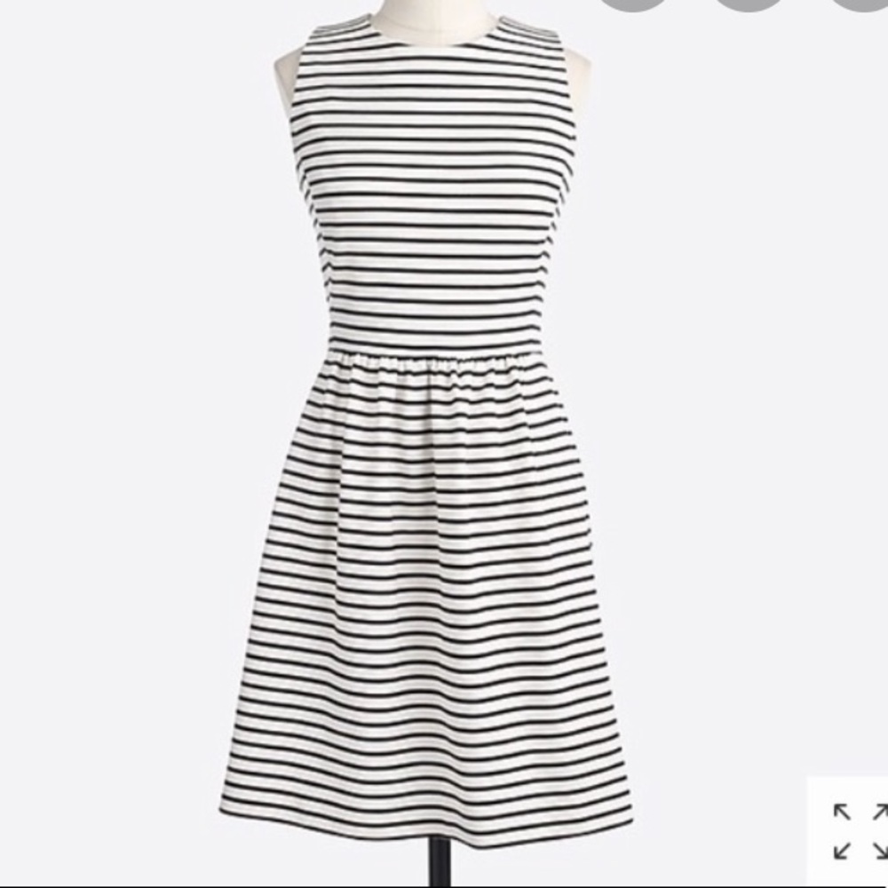 J.Crew Dress